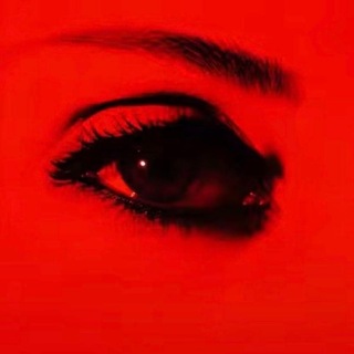 Telegram group profile photo for Miley Brasil: Chat