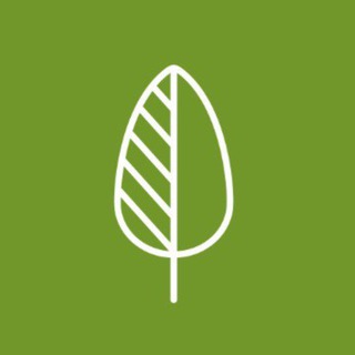 Telegram profile photo for Семейный центр «Монтессори Парк» в Измайлово, Москва