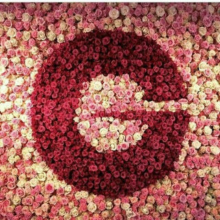 Telegram profile photo for نمایندگی رسمی ژیویدان سوئیس