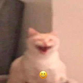 Telegram profile photo for Пещера Буфалы