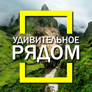 Telegram profile photo for Удивительное рядом! Факты, природа, наука