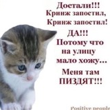 Telegram profile photo for Тот самый комментатор