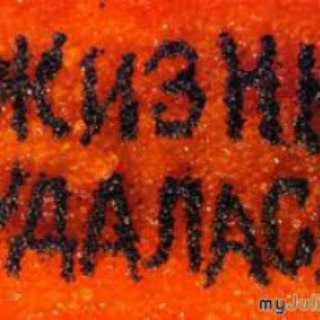 Telegram profile photo for Верхняя тундра