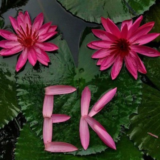 Telegram profile photo for Ente kottayam