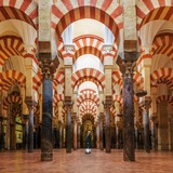 Telegram profile photo for Andalus kutub