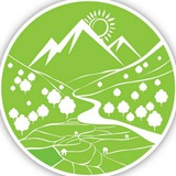 Telegram profile photo for فروشگاه گل باغ سی(شعبه نوشهر)