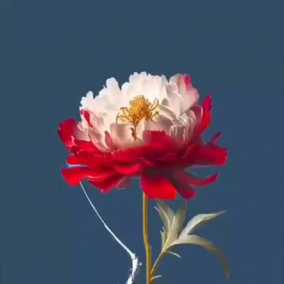 Telegram profile photo for ✿ ↝ آوای دیبا ↜ ✿