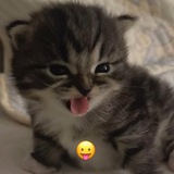 Telegram profile photo for r++ storage