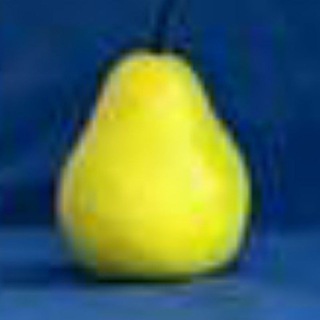Telegram profile photo for Хс ок пасиму