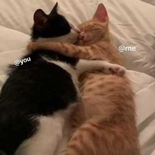Telegram profile photo for ily