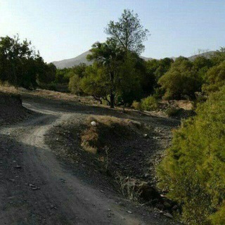 Telegram profile photo for روستای رستگانRASTEGAN