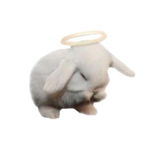 Telegram profile photo for БЕГЛЫЙ ЗАЯЦ