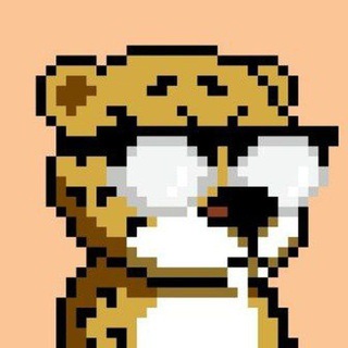 Telegram profile photo for Snoots Calls