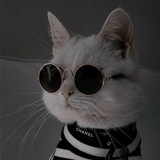 Telegram profile photo for تعالو نكسر الروتين 😂💔