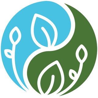 Telegram profile photo for Знахарь | Блог Карпа Дурова
