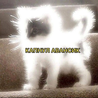 Telegram profile photo for 𝙀𝙣𝙧𝙤𝙡𝙡𝙢𝙚𝙣𝙩𝙨 #𝐈𝐭𝐬𝐏𝐏𝐓