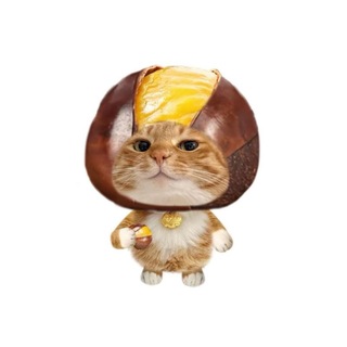 Telegram profile photo for 残念朋友圈