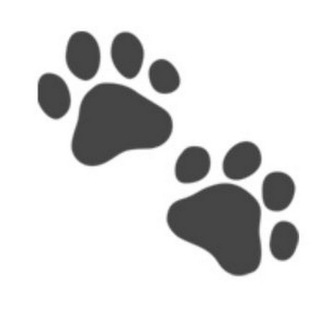 Telegram group profile photo for Объединение волонтеров и неравнодушных России по животным