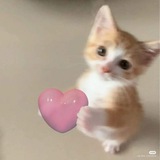 Telegram profile photo for cayangkamumwah