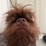 Telegram profile photo for НаталиЙошаОззи