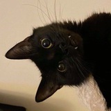 Telegram profile photo for Бейби панк