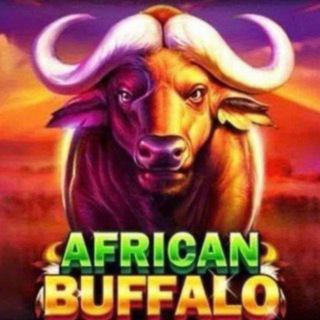 Telegram profile photo for Buffalo688 Vip Channel