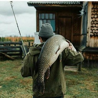 Telegram profile photo for Моя Рыбалка