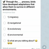Telegram profile photo for تست زبان انگلیسی English Quiz