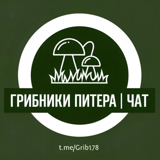 Telegram profile photo for Чат 🍄 Грибники Питера и Лен. Области, Карелии - Отчеты | Места | Общение
