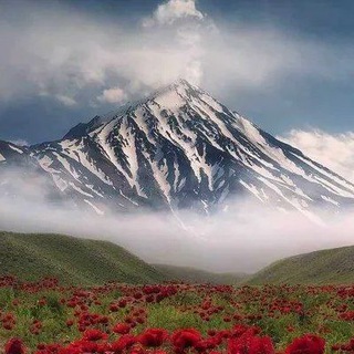Telegram profile photo for جهان اسرار آمیز