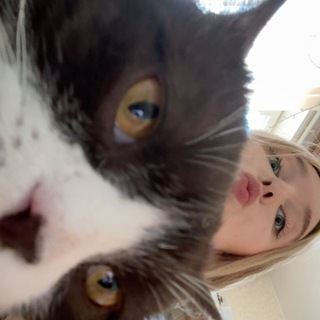 Telegram profile photo for торт с котом