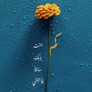 Telegram profile photo for توُبَة ♡︎🕊️