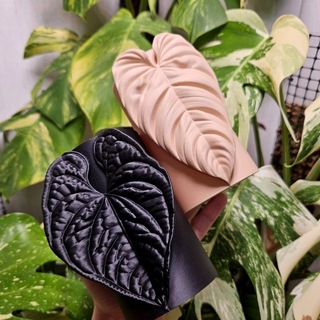 Telegram group profile photo for SPlants 3D 🌿