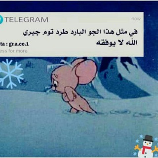 Telegram profile photo for نكت_يمنيه😂😁
