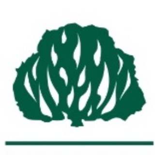 Telegram profile photo for Chiesa Presbiteriana in Italia