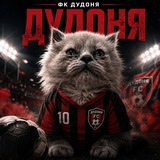 Telegram profile photo for Фк "Дудоня"