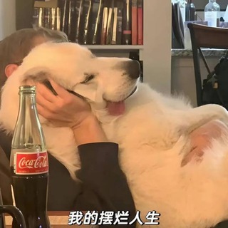 Telegram profile photo for 司机频道,需要的联系