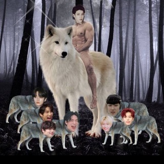 Telegram profile photo for поп джакузи///k-pop shop