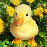 Telegram profile photo for утки