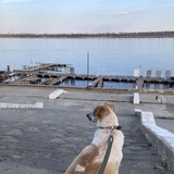 Telegram profile photo for Волгоградия