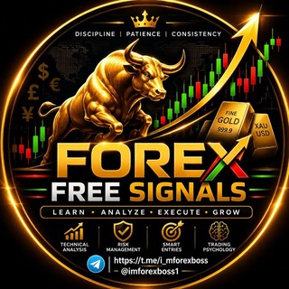 Telegram profile photo for Forex Free Signals