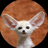 Telegram profile photo for RET - Audio Only