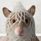 Telegram profile photo for Wrapped Rat