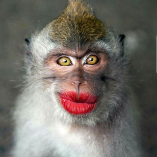 Telegram profile photo for ТВОЙ АНТИСТРЕСС