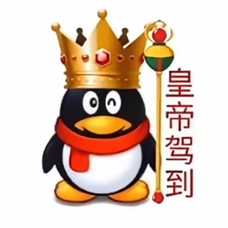 Telegram profile photo for Q绑查/手机号/免费社工库