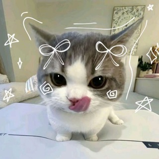 Telegram profile photo for VENESISS club