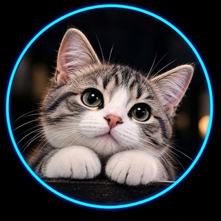 Telegram profile photo for Nayem Fact 02