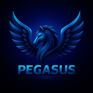 Telegram profile photo for PegasusTeam парашютные высотомеры и сигнализаторы