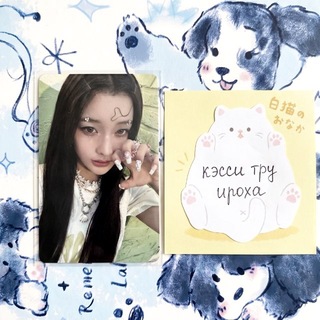 Telegram profile photo for my info.
