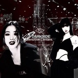 Telegram profile photo for DarkSide - закрыты